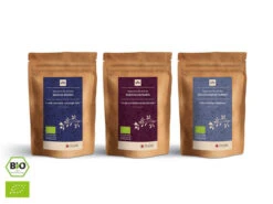 Grüner Tee Test-Set MIZUDASHI 15 Grüner Tee Test-Set MIZUDASHI -Berühmter Geschirr Laden gruener tee test set mizudashi 1