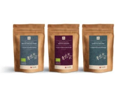 Grüner Tee Test-Set PREMIUM -Berühmter Geschirr Laden gruener tee test set premium 1