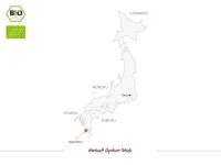 Gyokuro Tokufu, Bio, Super-Premium 7 Gyokuro Tokufu, Bio, Super-Premium – Bild 5