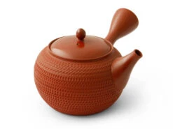 Japanische Teekanne Tokoname Tobikanna Shu -Berühmter Geschirr Laden japanische teekanne tokoname tobikanna shu 1