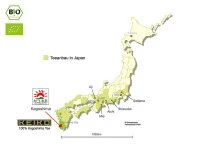 KEIKO Ingwer Zitronen Bancha, 50 G 8 KEIKO Ingwer Zitronen Bancha, 50 G – Bild 6