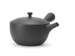 Kyusu Tokoname Chanoma S, 180 Ml -Berühmter Geschirr Laden kyusu tokoname chanoma s 180 ml 1