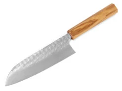 Santokumesser MINAMO 170, SG2, Olive -Berühmter Geschirr Laden santokumesser minamo 170 sg2 olive 1