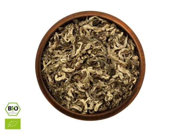 Snow Dragon 1st Grade BIO 9 Snow Dragon 1st Grade BIO – Bild 7